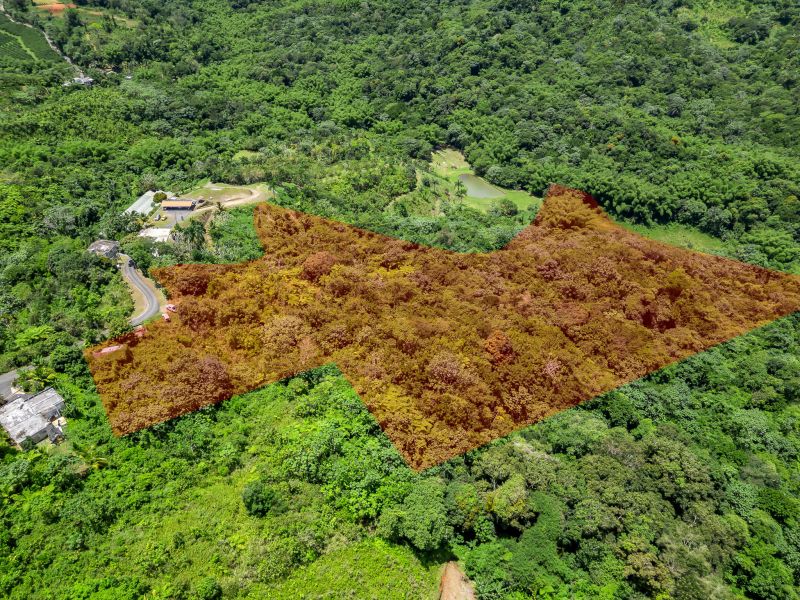 Bo. Espino, Finca en Lares venta en Lares, PR