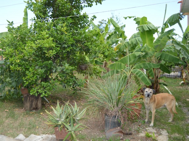 Foto 5