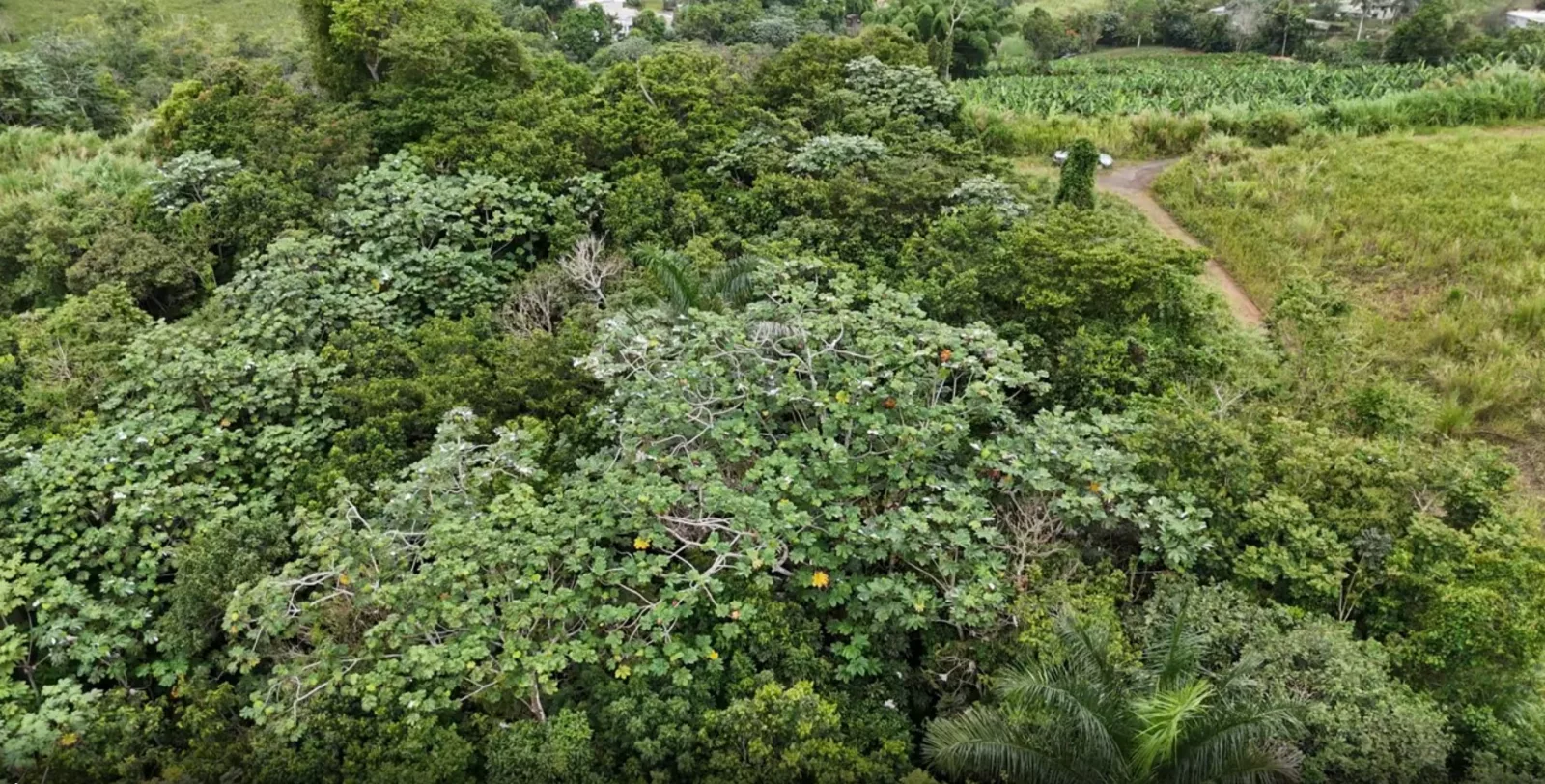 casas en venta o alquiler en Barranquitas
