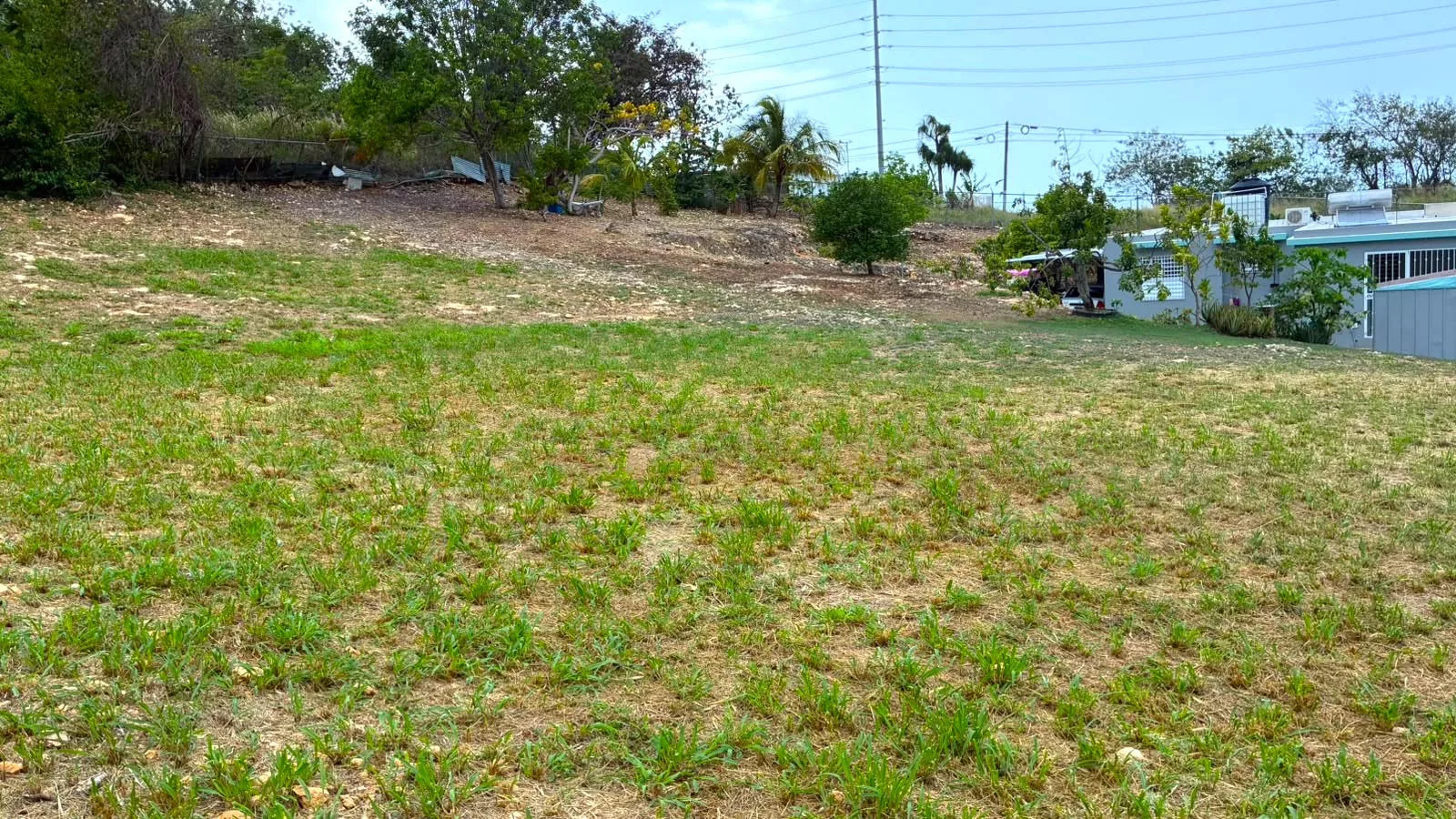Arecibo Urb. Colinas de Palmarito