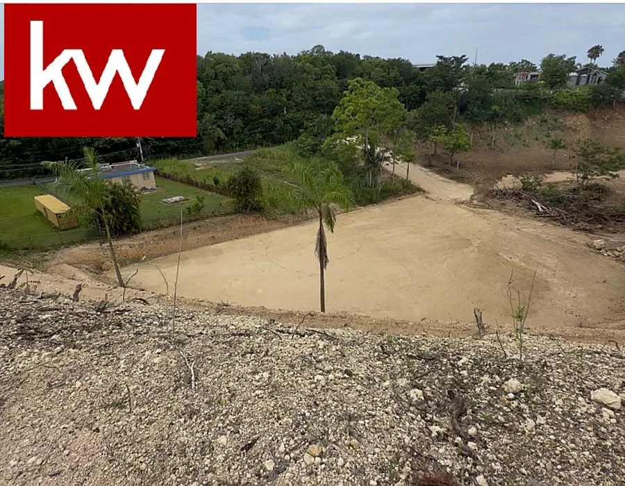 Bo. Asomante, Terreno en Aguada