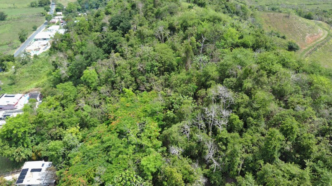 Bo. Collores, Solar En Humacao venta en Humacao, PR