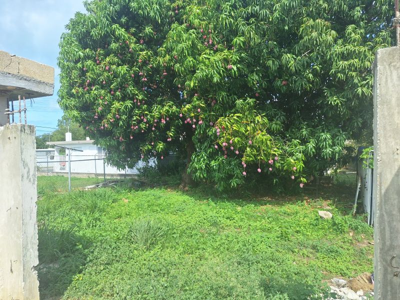 Foto 15