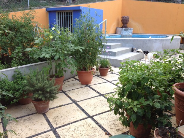 Villa Borinquen venta en Vieques, PR