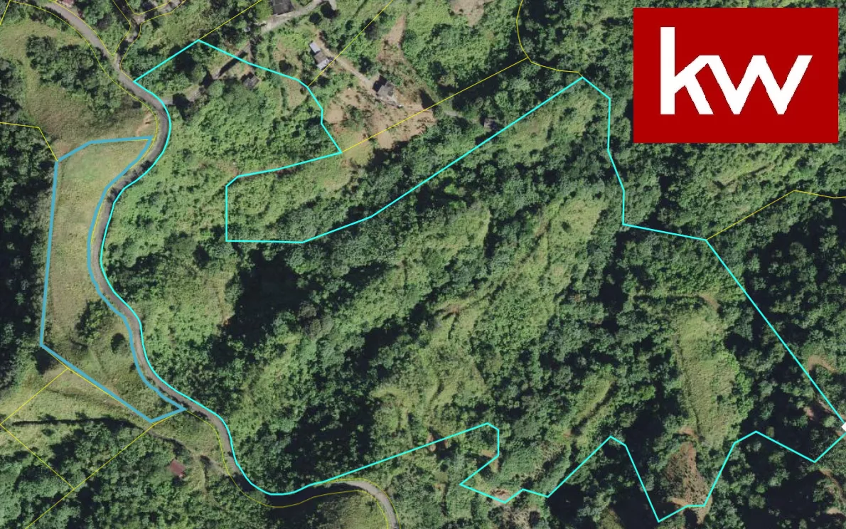Bo. Rubias, Finca en Yauco