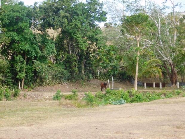 Bo. Lajas Arriba venta en Lajas, PR