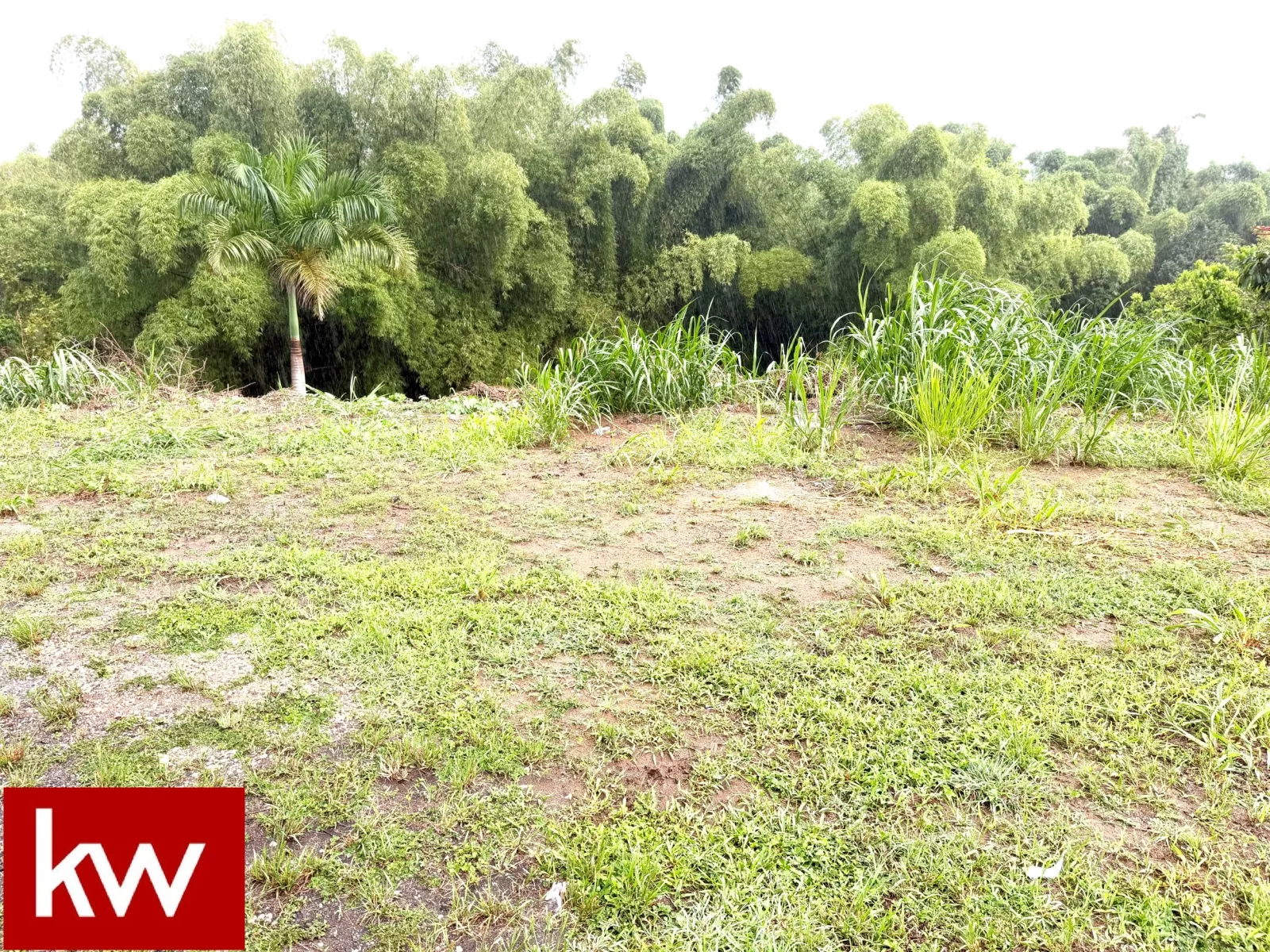 Bo. Arenas, Terreno en Cidra