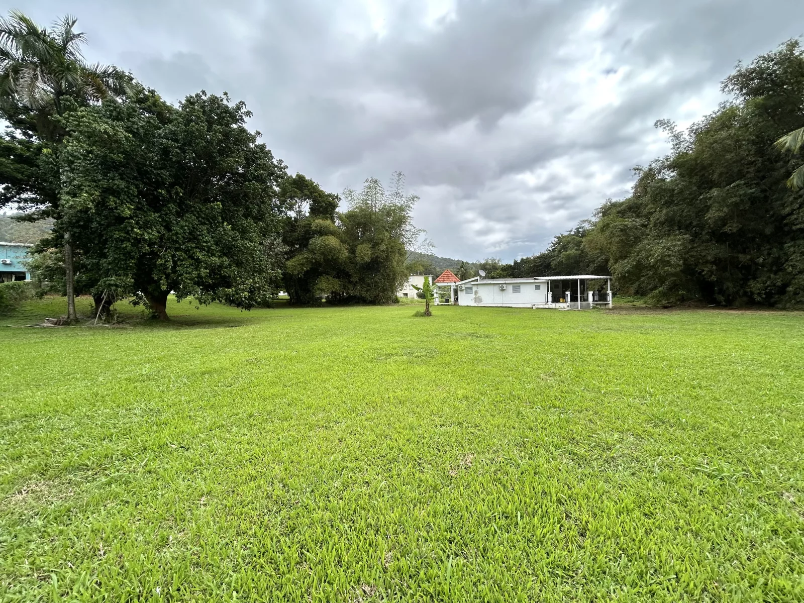 Bo. Daguao, calle Los Millones