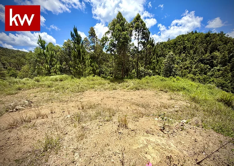 Bo. Cercadillo, Terreno en Cayey
