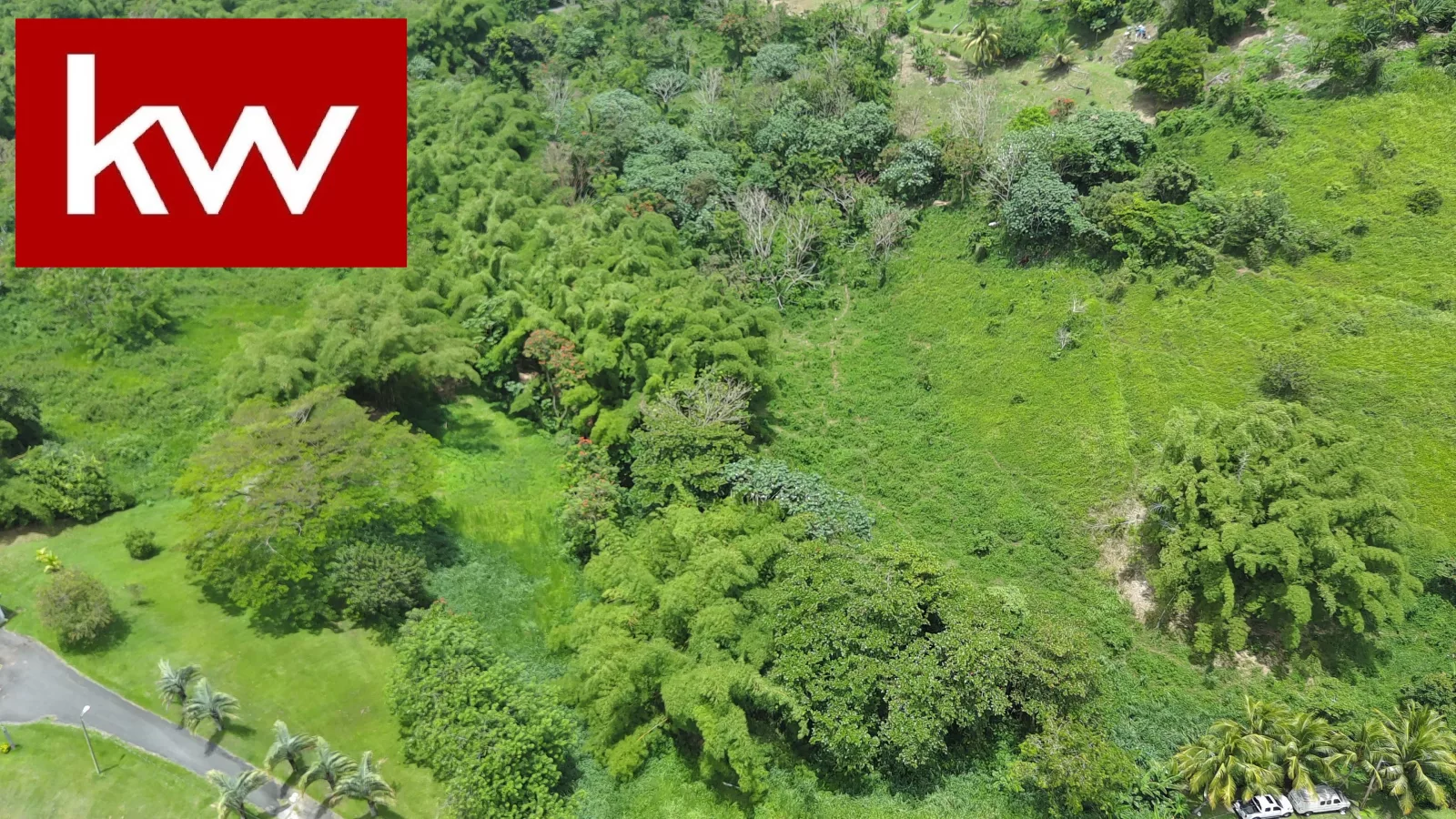 Bo. Calzada, Terreno en Maunabo