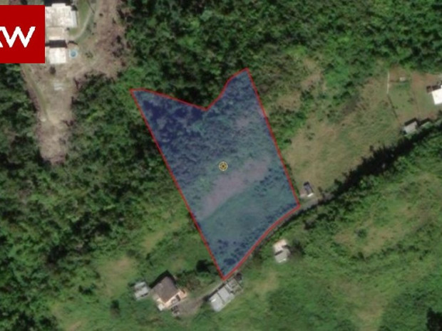 Bo. Barahona, Finca En Morovis