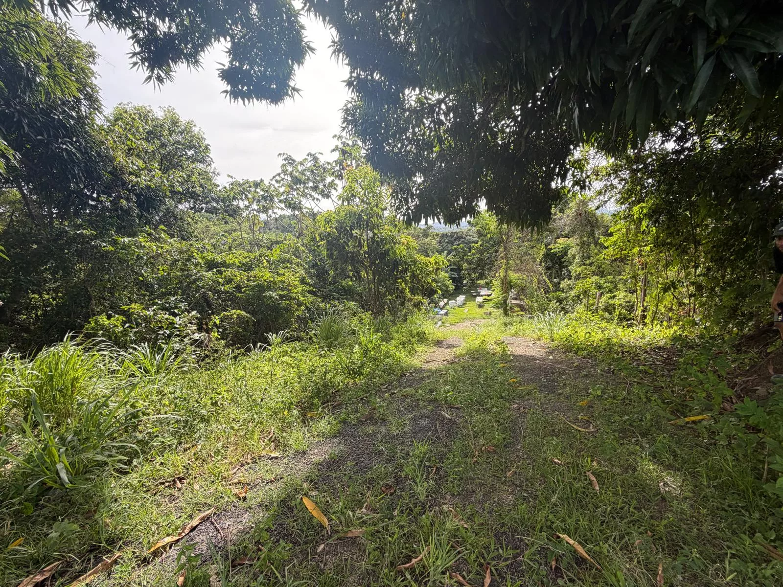 Foto 4