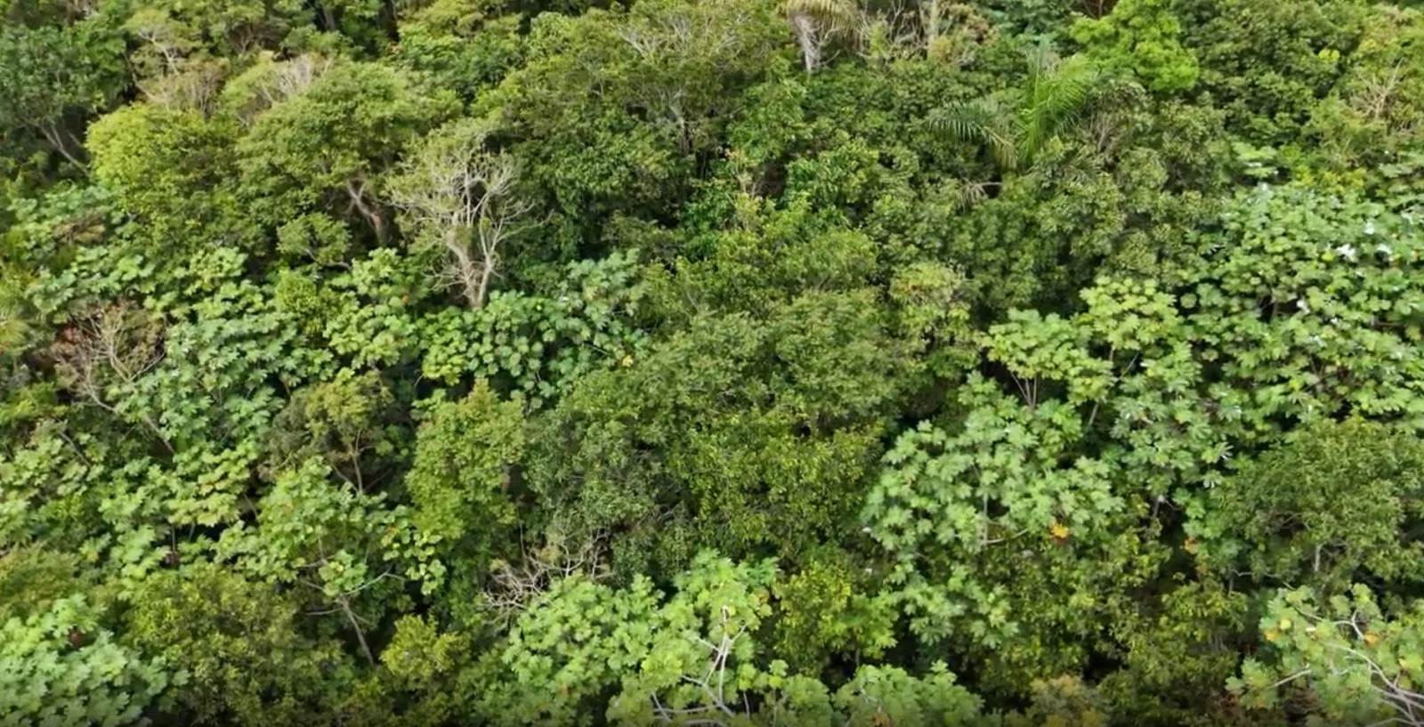 casas en venta o alquiler en Barranquitas