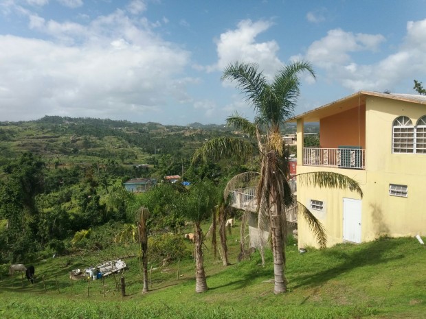 Bo Valenciano Abajo venta en Juncos, PR
