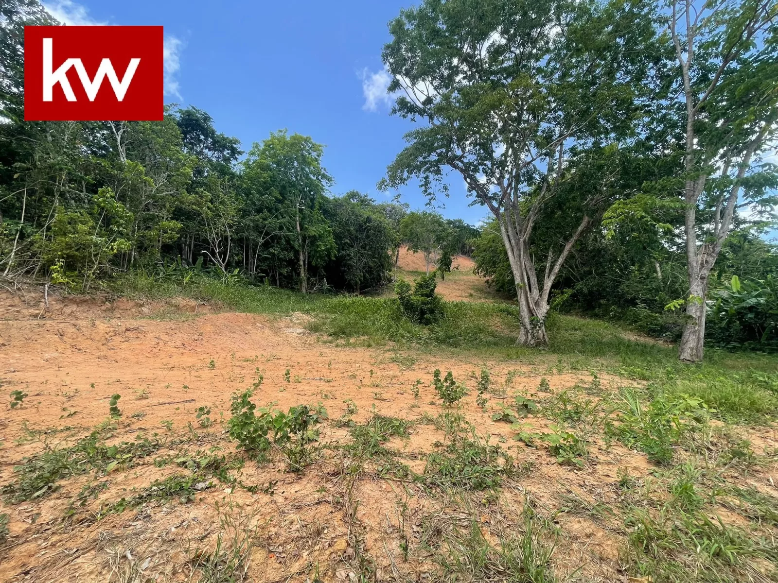 Bo. Quebrada Cruz, Terreno en Toa Alta