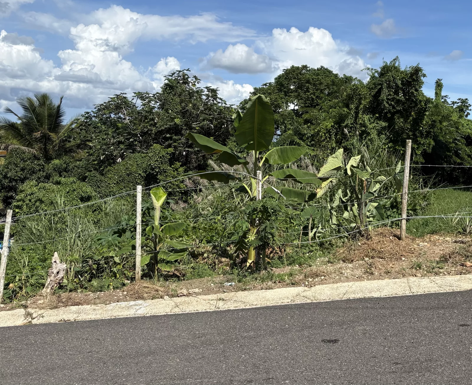 Terreno en Bo. Montellano, morovis - foto 2