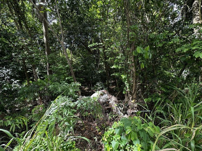 Foto 7
