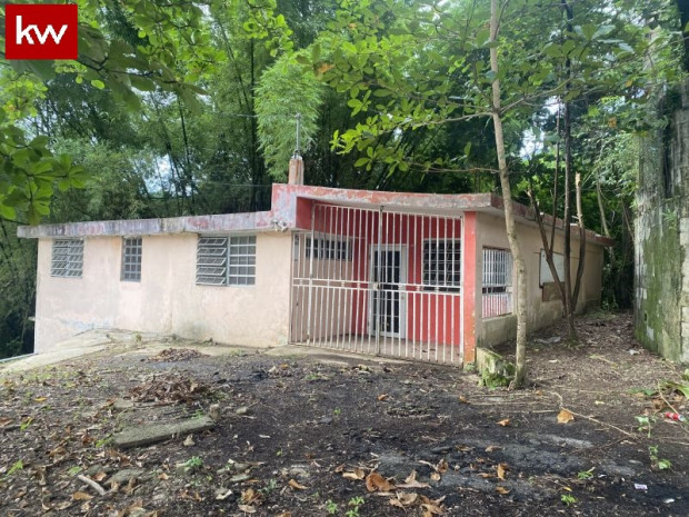 Casa En Bo. Guaraguao