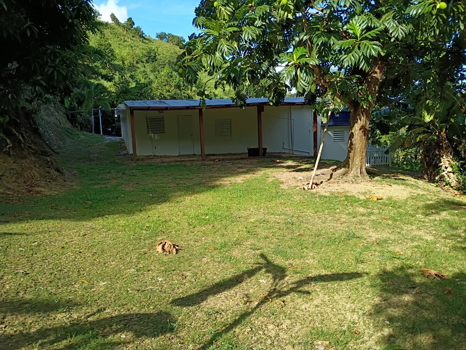 Foto 11
