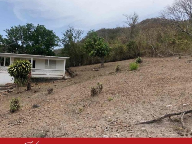 Bo Las Flores En Coamo venta en Coamo, PR