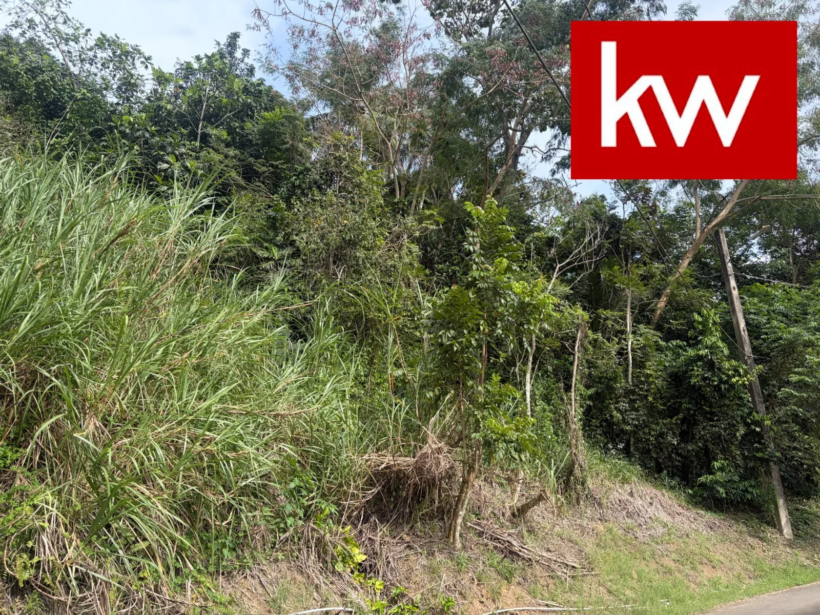 Bo. Buena Vista, Terreno en Bayamón