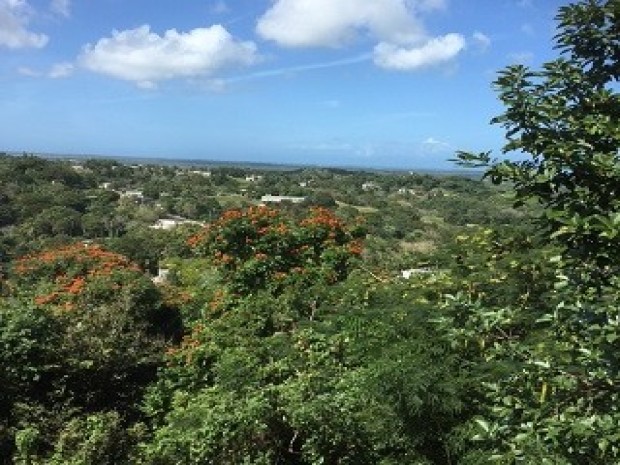 Bo. Jimenez venta en Río Grande, PR