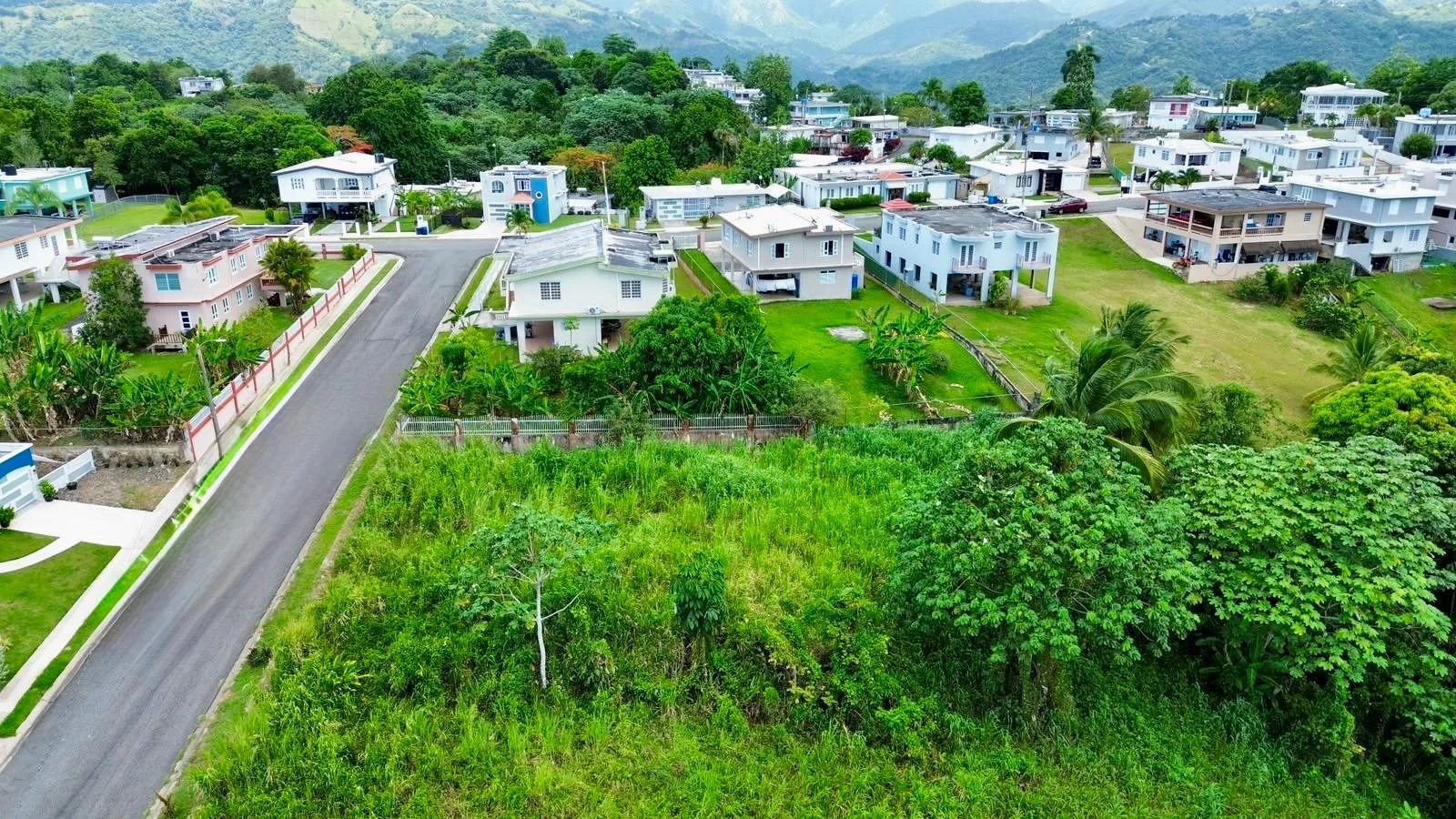 Foto 10