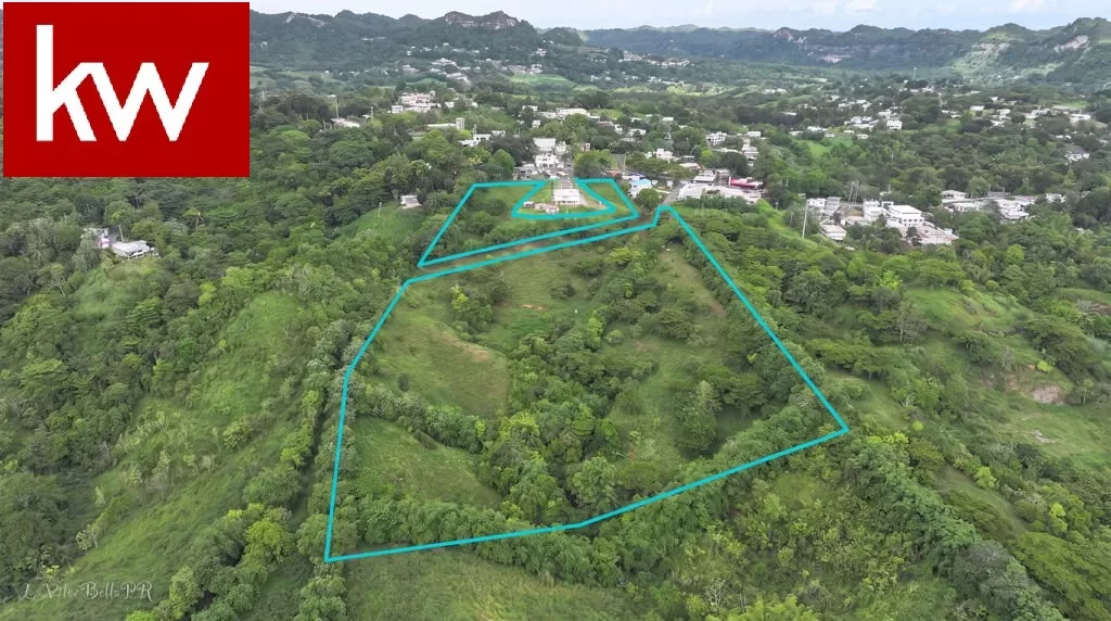 Bo. Dos Bocas, Terreno en Corozal