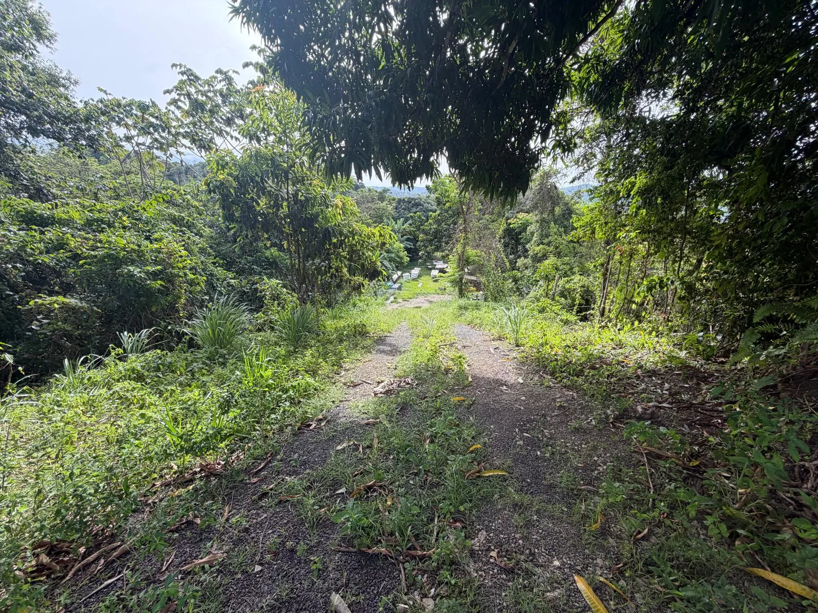 Foto 15