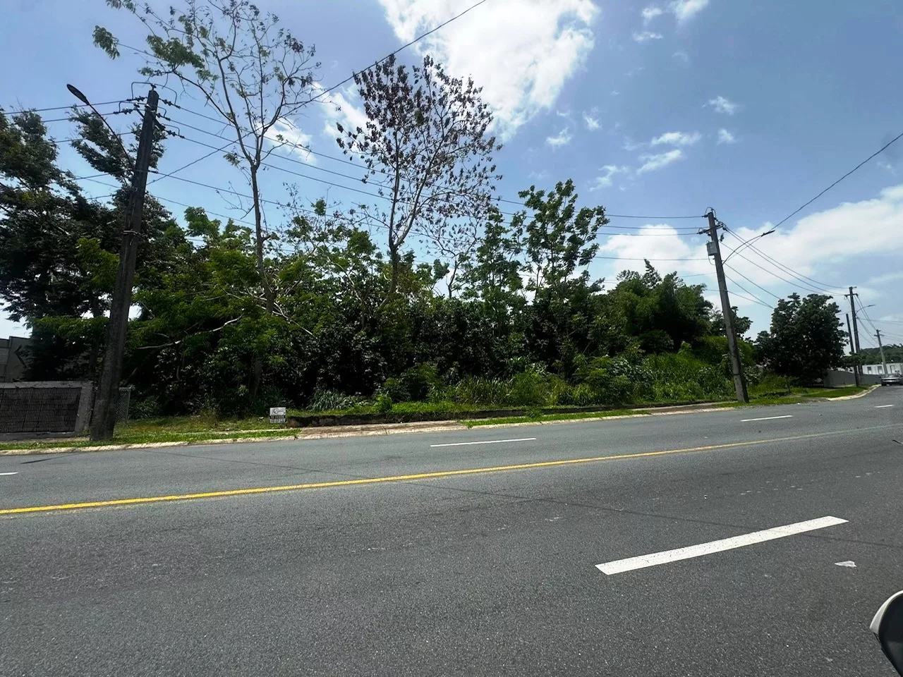 Irlanda Heights Ave. Minillas