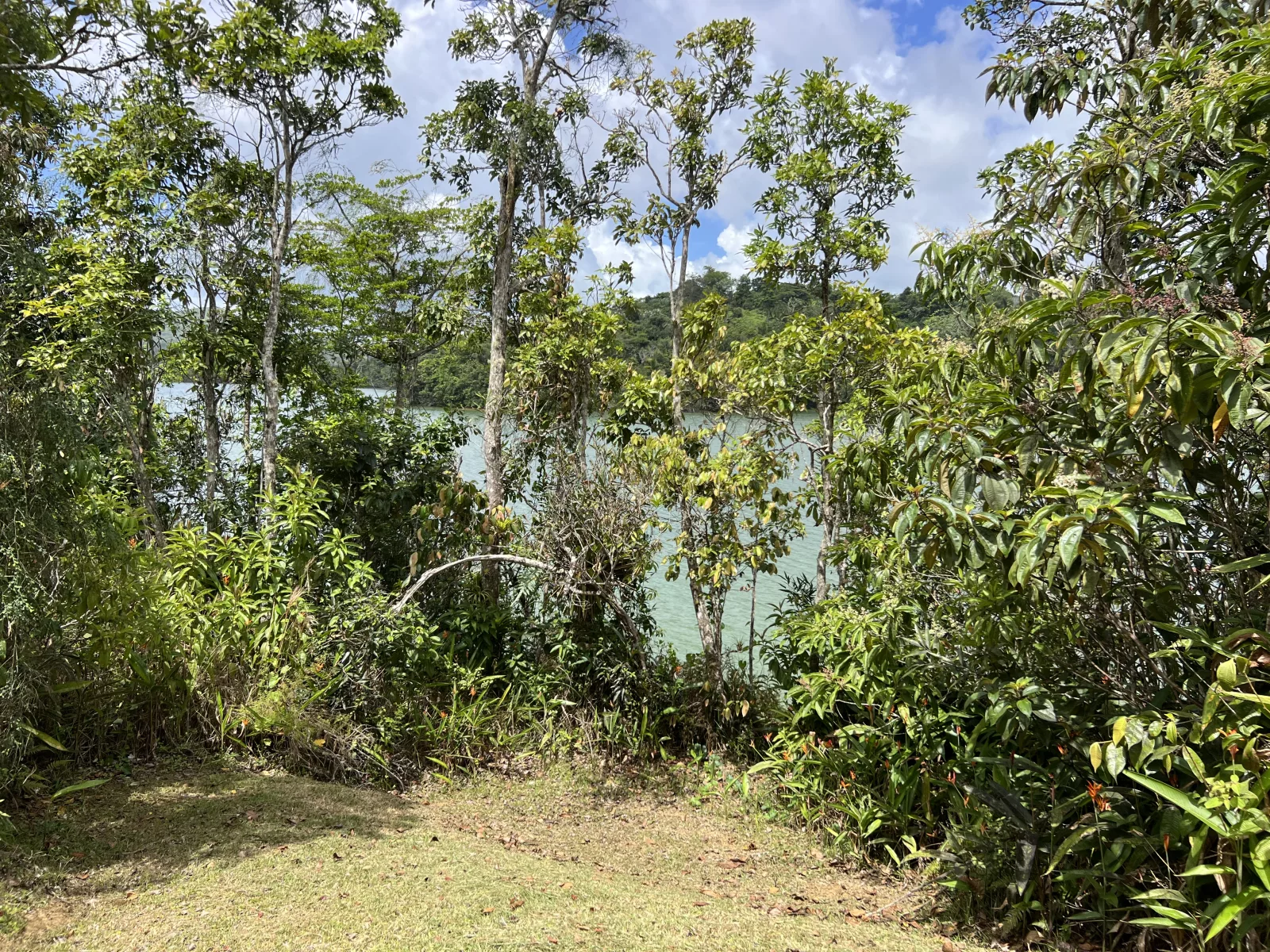 Foto 5