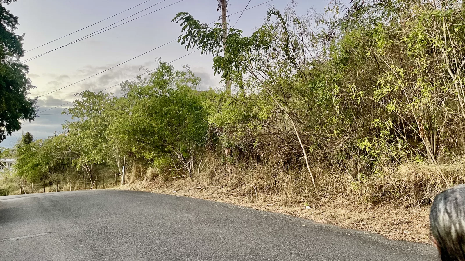 casas en venta o alquiler en Coamo