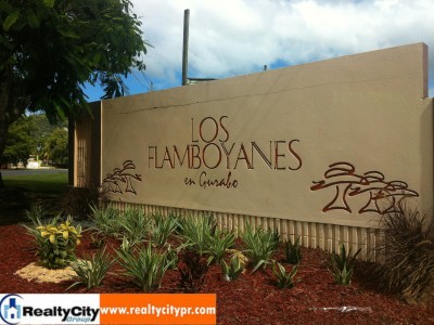 Urb. Los Flamboyanes venta en Gurabo, PR