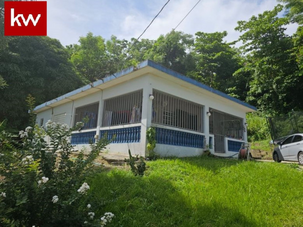 Bo San Antonio, Casa En Caguas