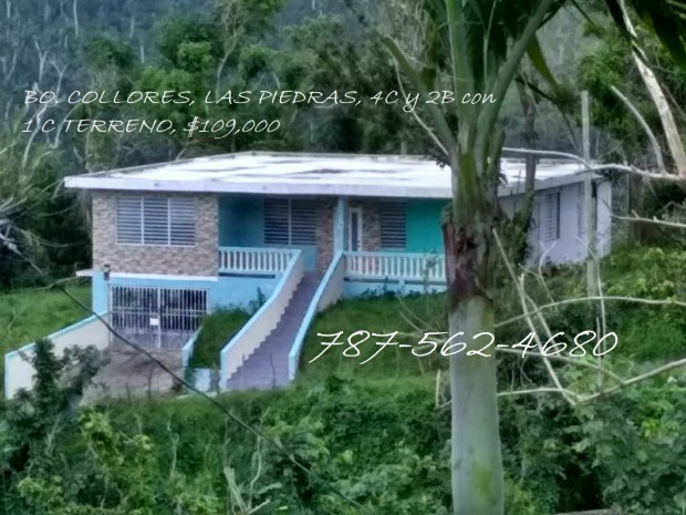 Bo. Collores Carr937 Km 0.7 venta en Las Piedras, PR