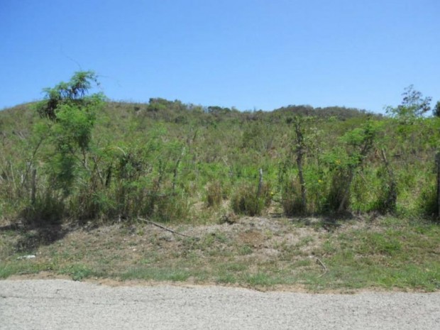 Descalabrado Ward 6 Cuerdas venta en Santa Isabel, PR