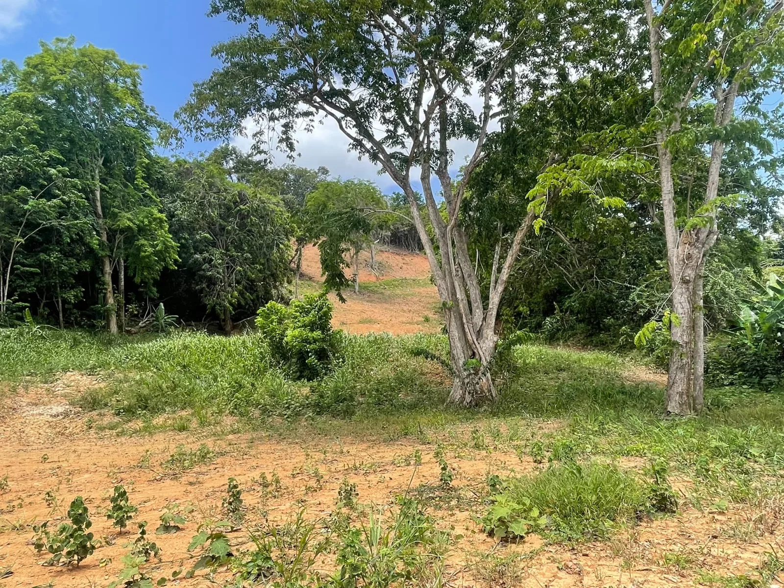 Foto 6