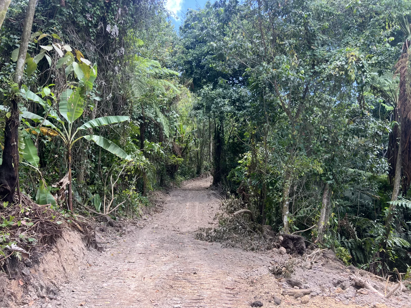 Foto 14