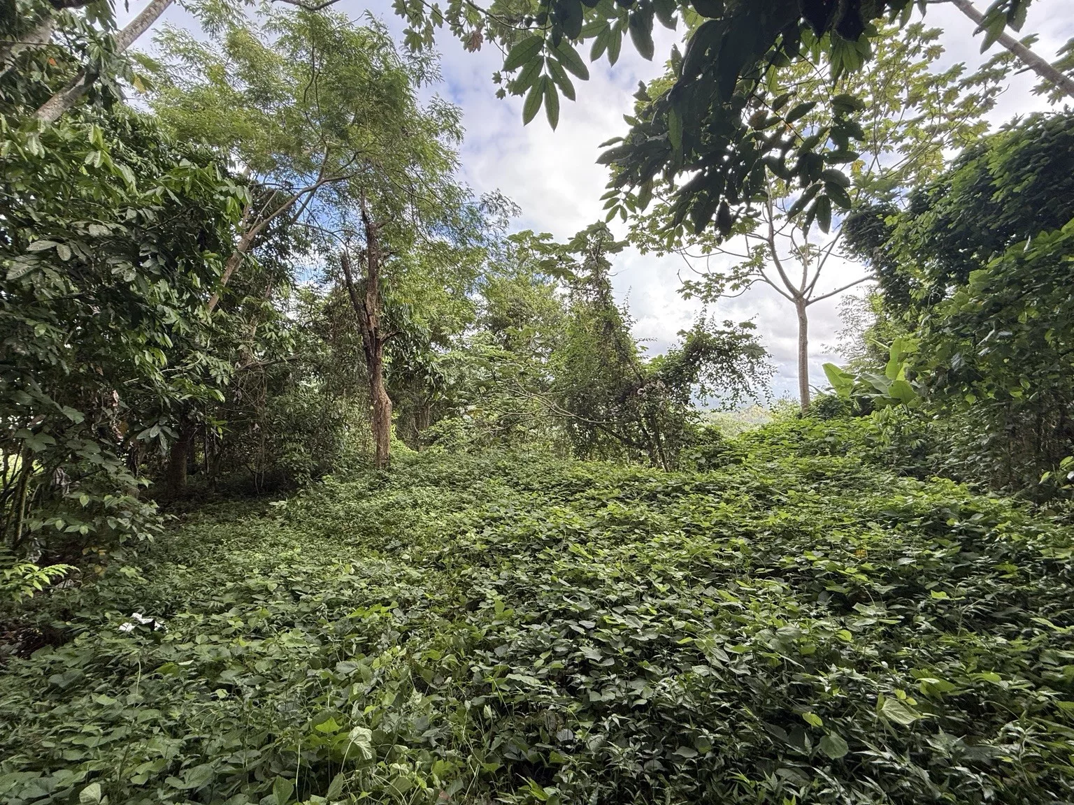 Foto 7