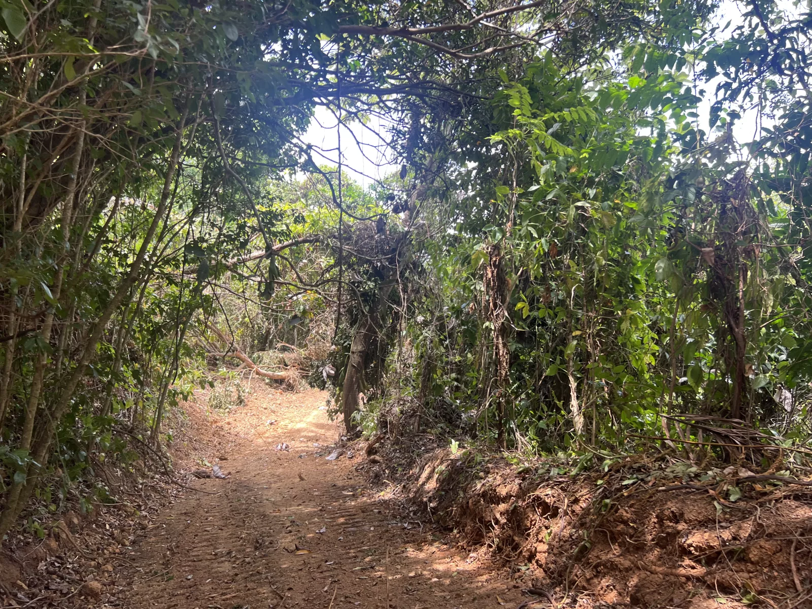 Foto 11