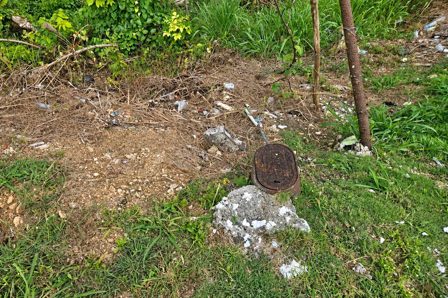 Foto 3