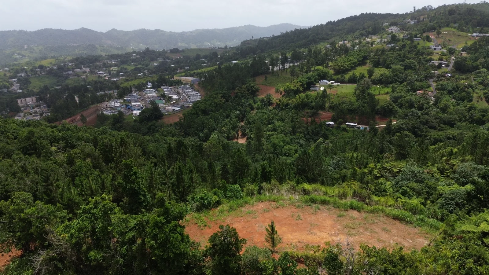 Bo El Pueblito Orocovis
