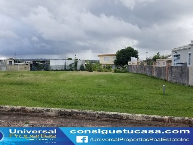 Isabela Bo Jobos