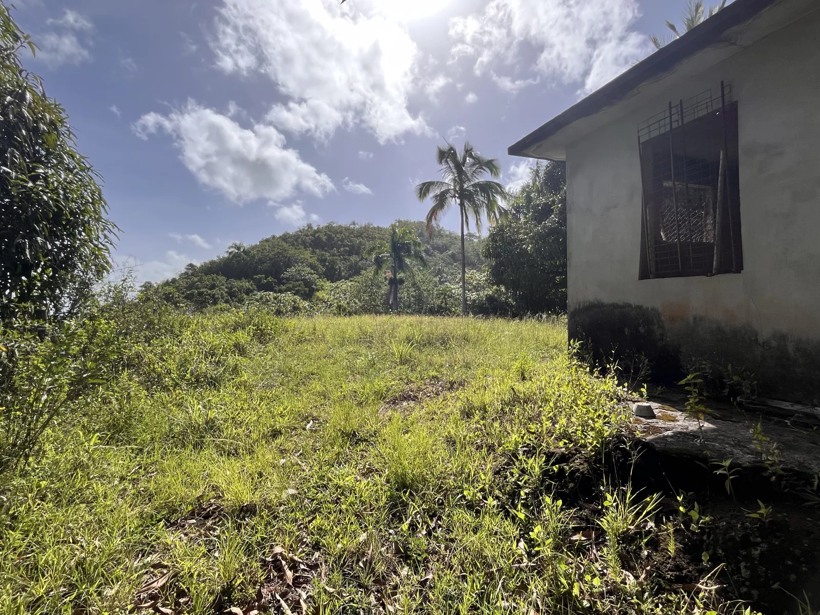 Terreno en Bo. Perchas, morovis - foto 2