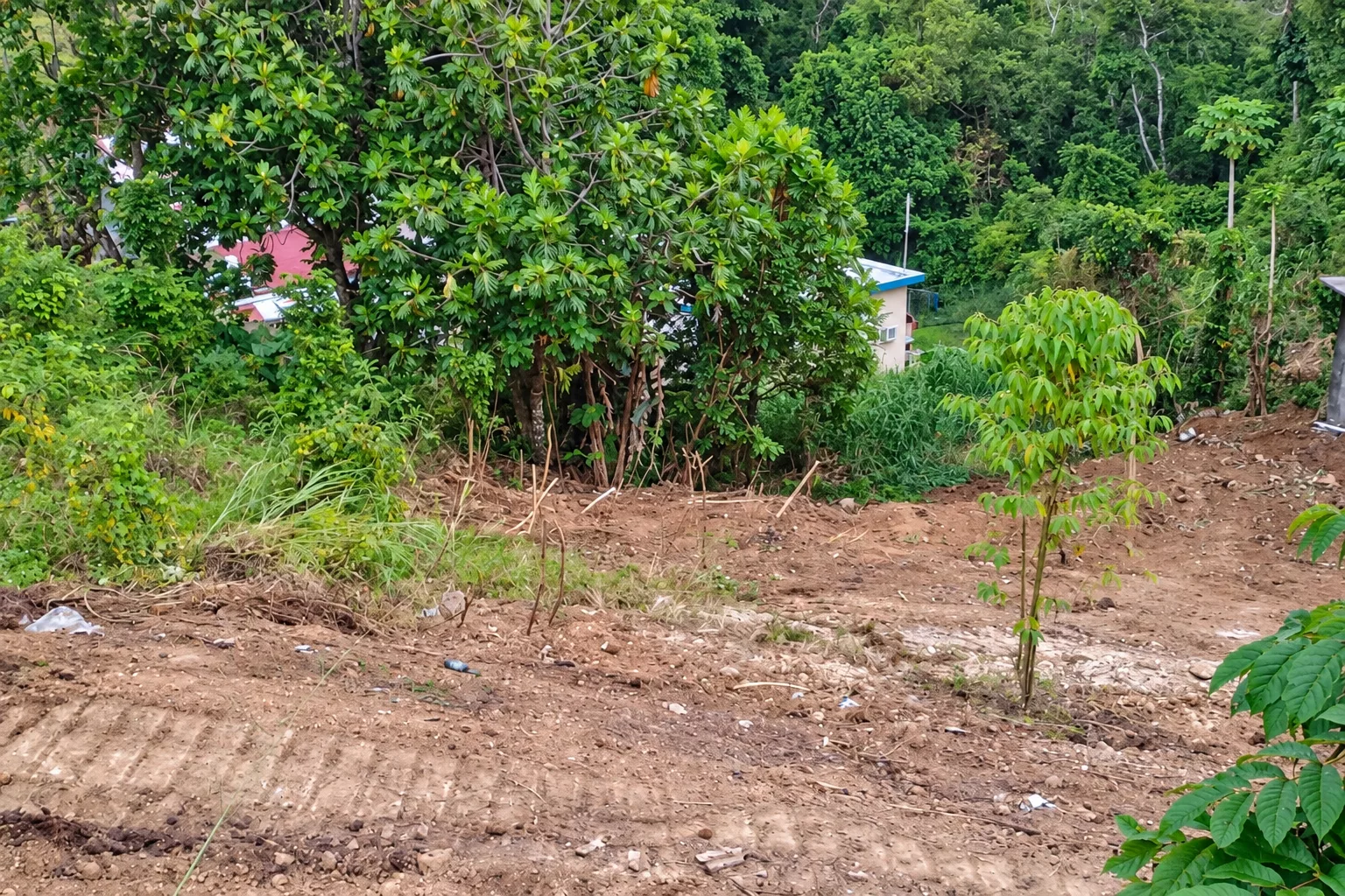 Foto 5