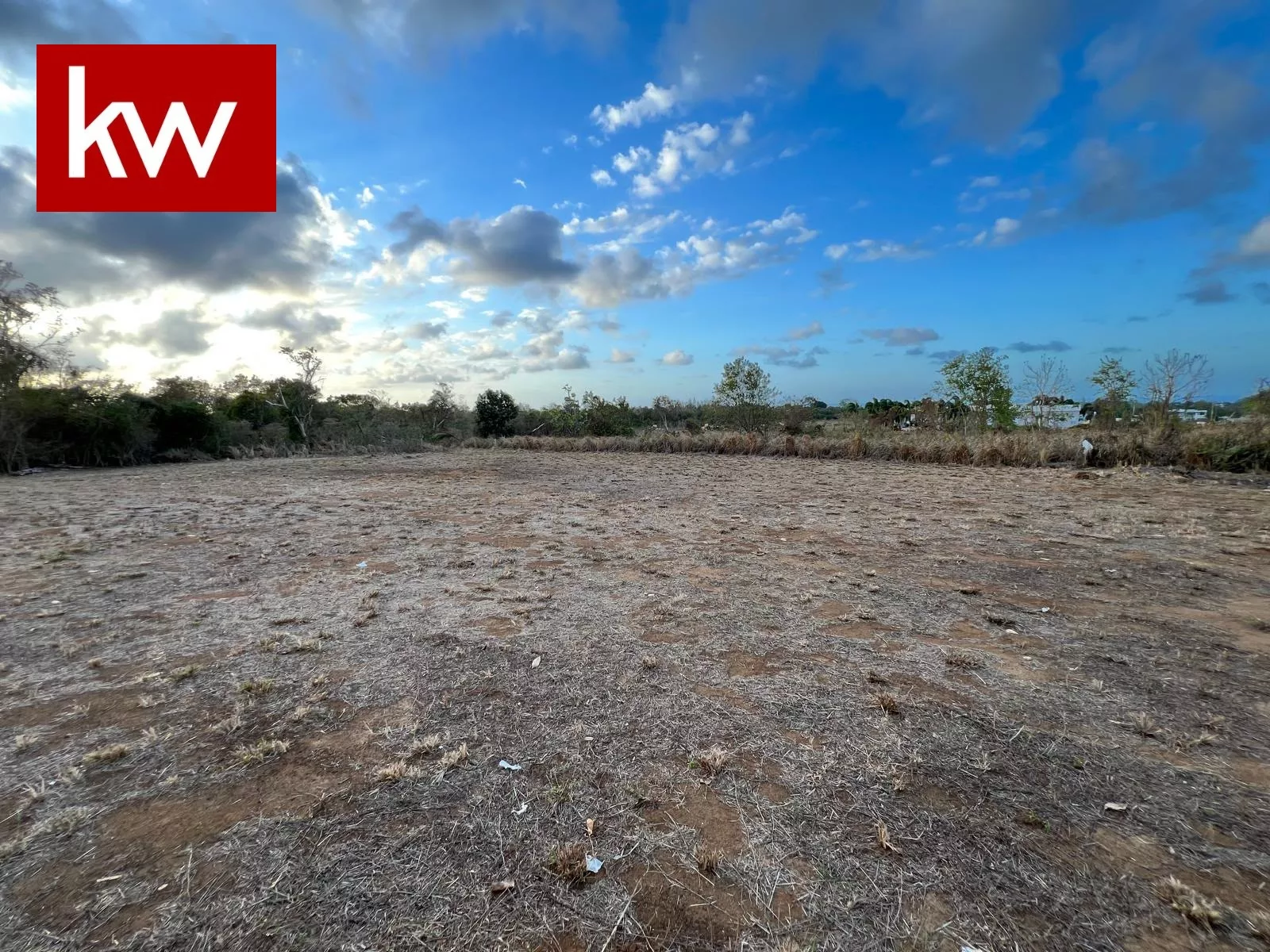 Bo. Membrillo, Terreno en Camuy
