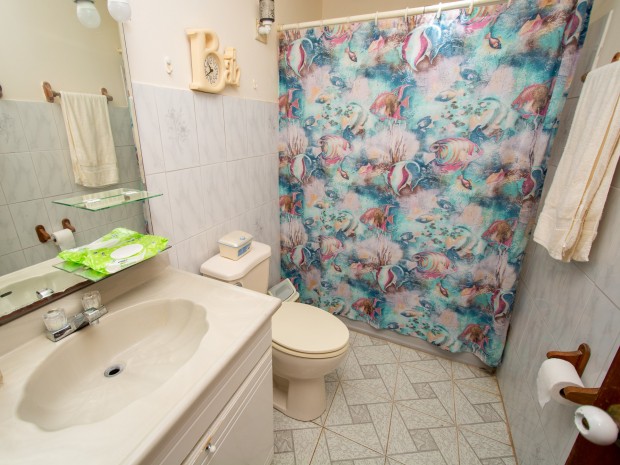Barrio Pesas venta en Ciales, PR