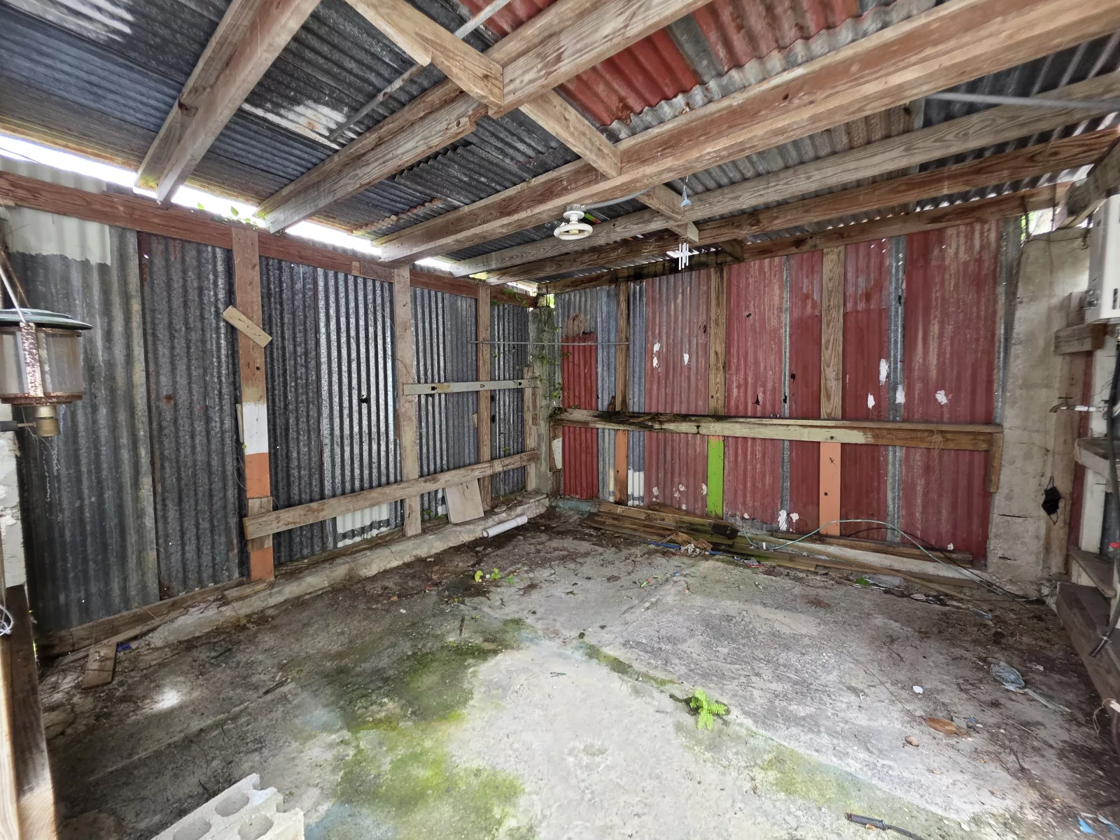 Foto 11