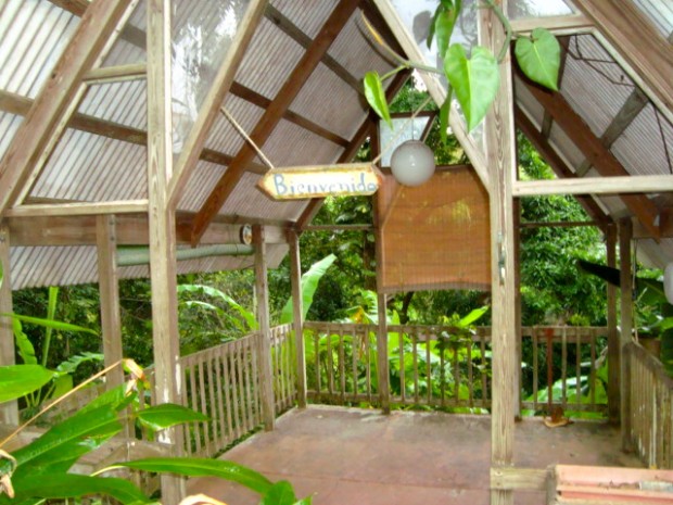Foto 5