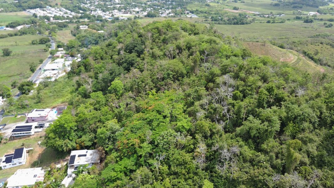 Bo. Collores, Solar En Humacao venta en Humacao, PR